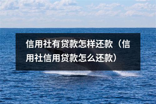 信用社有贷款怎样还款（信用社信用贷款怎么还款）