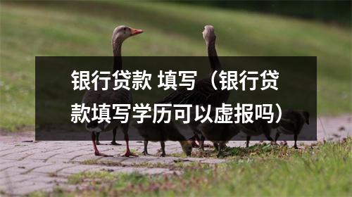 银行贷款 填写（银行贷款填写学历可以虚报吗）