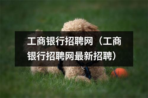 工商银行招聘网（工商银行招聘网最新招聘）