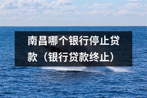 南昌哪个银行停止贷款（银行贷款终止）