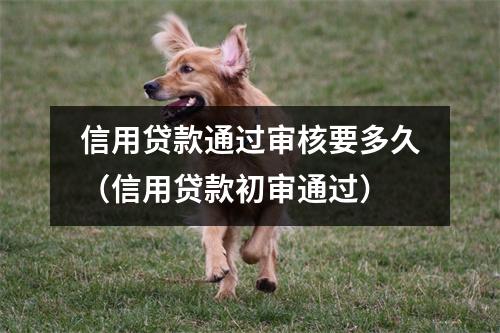 信用贷款通过审核要多久（信用贷款初审通过）