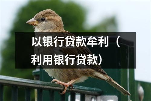 以银行贷款牟利（利用银行贷款）
