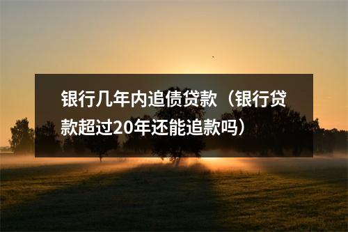 银行几年内追债贷款（银行贷款超过20年还能追款吗）