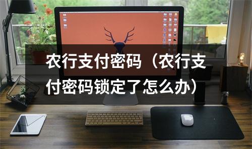 农行支付密码（农行支付密码锁定了怎么办）