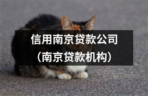 信用南京贷款公司(南京贷款机构)