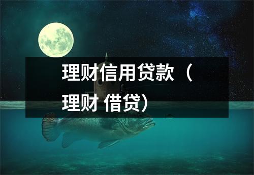 理财信用贷款（理财 借贷）