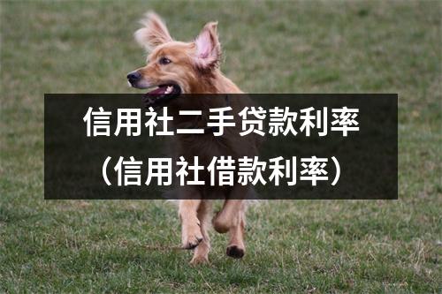 信用社二手贷款利率（信用社借款利率）