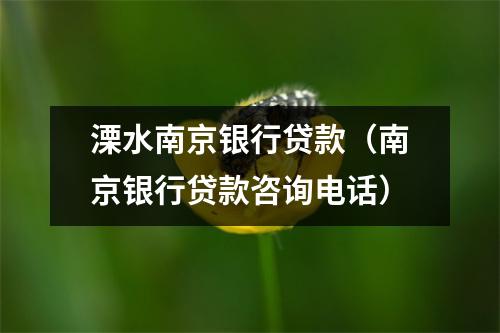 溧水南京银行贷款（南京银行贷款咨询电话）