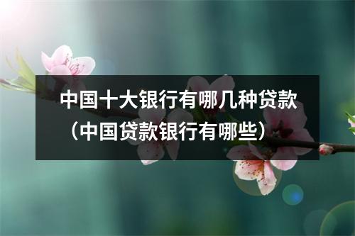 中国十大银行有哪几种贷款（中国贷款银行有哪些）