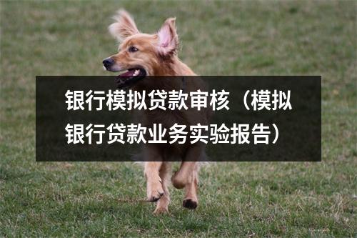 银行模拟贷款审核（模拟银行贷款业务实验报告）