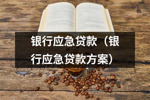 银行应急贷款（银行应急贷款方案）
