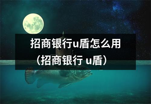 招商银行u盾怎么用（招商银行 u盾）