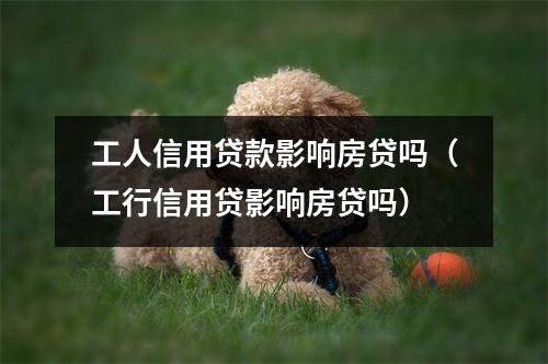 工人信用贷款影响房贷吗（工行信用贷影响房贷吗）