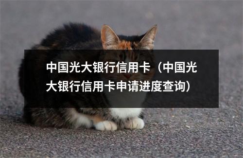 中国光大银行信用卡（中国光大银行信用卡申请进度查询）
