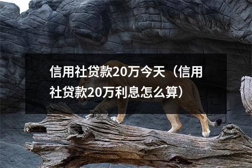 信用社贷款20万今天（信用社贷款20万利息怎么算）