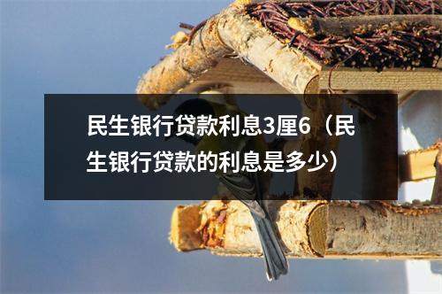 民生银行贷款利息3厘6（民生银行贷款的利息是多少）