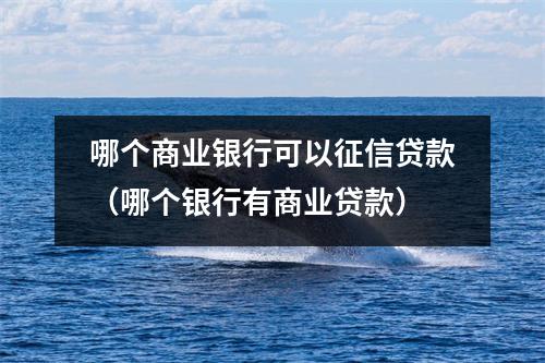 哪个商业银行可以征信贷款（哪个银行有商业贷款）