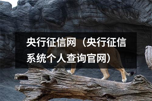 央行征信网（央行征信系统个人查询官网）