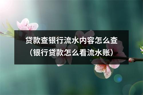 贷款查银行流水内容怎么查（银行贷款怎么看流水账）