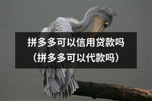 拼多多可以信用贷款吗（拼多多可以代款吗）