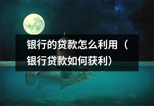 银行的贷款怎么利用（银行贷款如何获利）