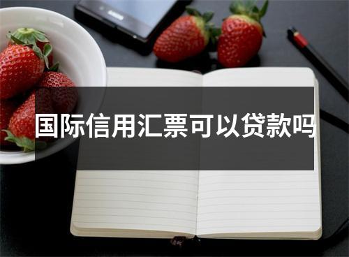 国际信用汇票可以贷款吗