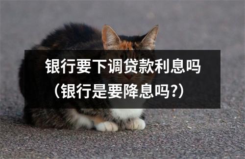 银行要下调贷款利息吗（银行是要降息吗?）