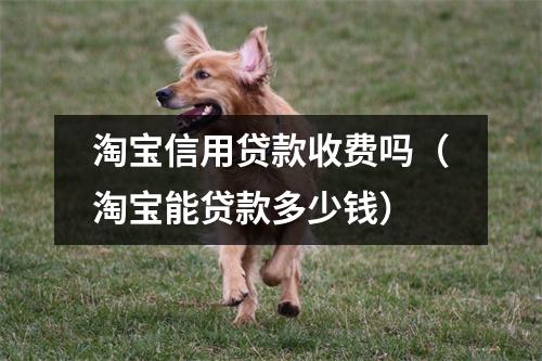 淘宝信用贷款收费吗（淘宝能贷款多少钱）