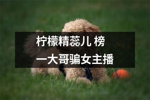 柠檬精蕊儿 榜一大哥骗女主播