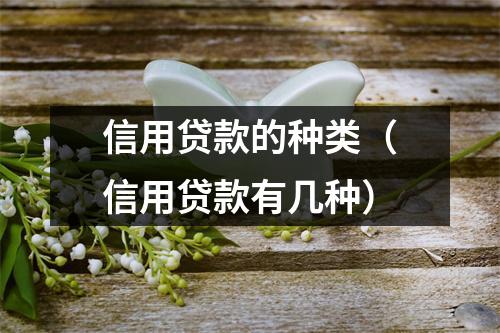 信用贷款的种类（信用贷款有几种）