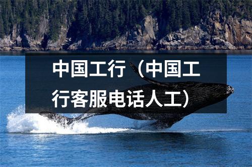 中国工行（中国工行客服电话人工）