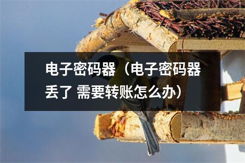 电子密码器（电子密码器丢了 需要转账怎么办）