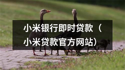 小米银行即时贷款（小米贷款官方网站）