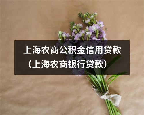 上海农商公积金信用贷款（上海农商银行贷款）