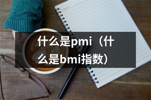 什么是pmi（什么是bmi指数）