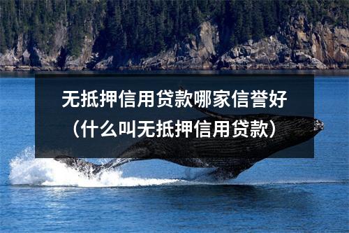 无抵押信用贷款哪家信誉好（什么叫无抵押信用贷款）