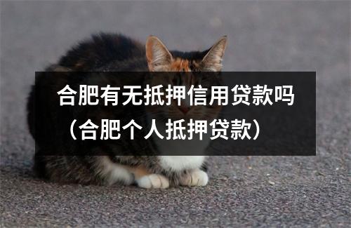 合肥有无抵押信用贷款吗（合肥个人抵押贷款）