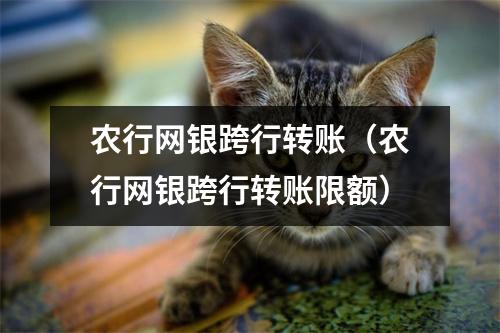 农行网银跨行转账（农行网银跨行转账限额）