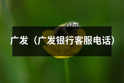 广发（广发银行客服电话）