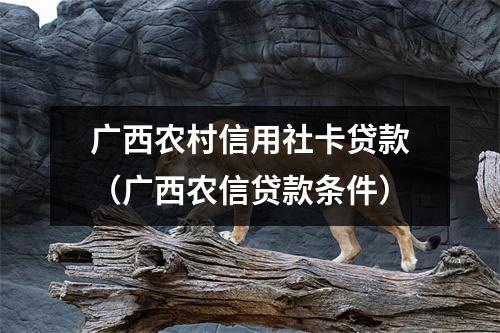 广西农村信用社卡贷款（广西农信贷款条件）