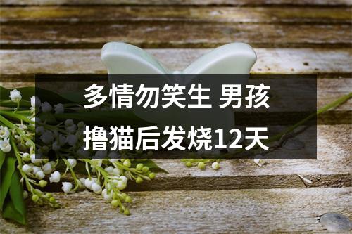 多情勿笑生 男孩撸猫后发烧12天