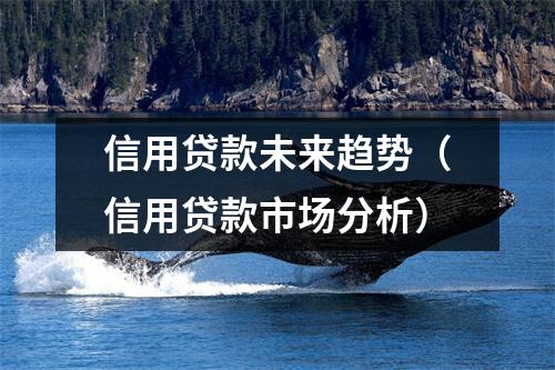 信用贷款未来趋势（信用贷款市场分析）