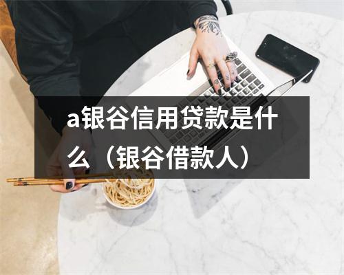 a银谷信用贷款是什么（银谷借款人）