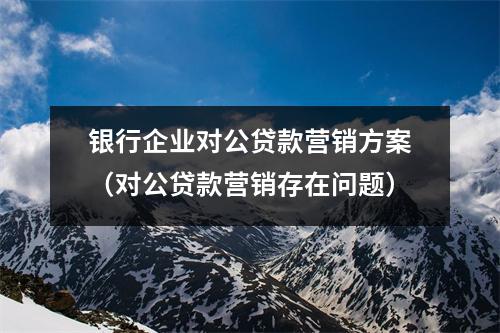银行企业对公贷款营销方案（对公贷款营销存在问题）