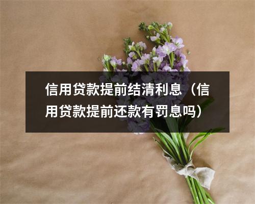 信用贷款提前结清利息（信用贷款提前还款有罚息吗）
