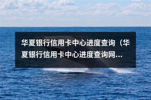 华夏银行信用卡中心进度查询（华夏银行信用卡中心进度查询网址）