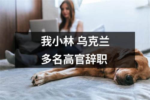 我小林 乌克兰多名高官辞职