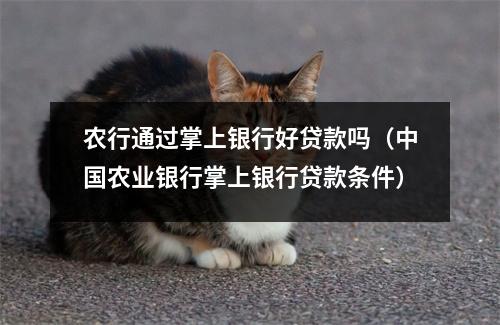 农行通过掌上银行好贷款吗（中国农业银行掌上银行贷款条件）