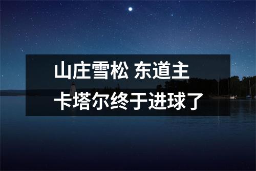 山庄雪松 东道主卡塔尔终于进球了