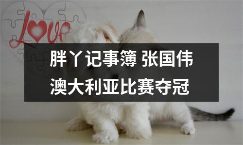 胖丫记事簿 张国伟澳大利亚比赛夺冠